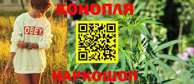 спайс Моздок