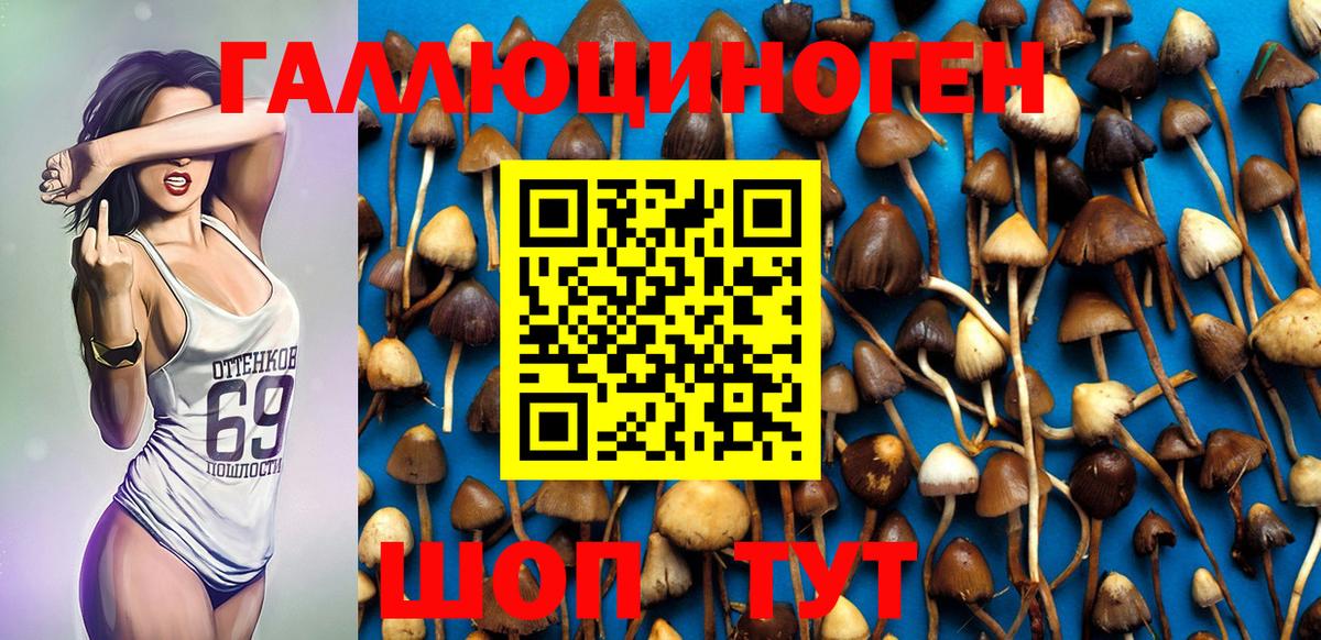 Галлюциногенные грибы Magic Shrooms Унеча